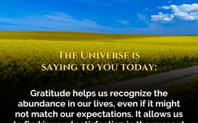 Recognise the Abundance in your life