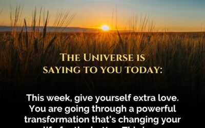 Transformation is changing your life.