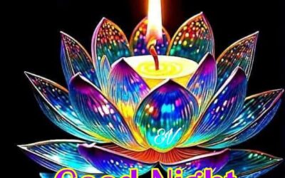 Good night